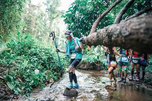 BIB: 
                            <button type="button" onclick="openModal(25372619)" class="btn btn-primary btn-sm float-right btn-popup" data-toggle="modal" data-target=".modal-high-quality">
                        <i class="fas fa-shopping-cart"></i> Add to Cart
                    </button>
                                            <button type="button" onclick="isThisMe(25372619, true)" class="btn btn-success btn-sm float-right btn-popup btn-isme hidden" data-toggle="tooltip" data-placement="bottom" title="นี่คือรูปของคุณใช่ไหม คลิกที่นี่เพื่อเอาเข้าอัลบั้ม">
                        <i class="fas fa-plus"></i> Add to album
                    </button>
                    <button type="button" onclick="isThisMe(25372619, false)" class="btn btn-warning btn-sm float-right btn-popup btn-isnotme hidden">
                        <i class="fas fa-ban"></i> Remove from album
                    </button>